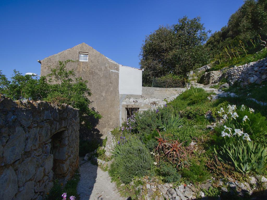 Apartment Cacini Dvori Lastovo الغرفة الصورة